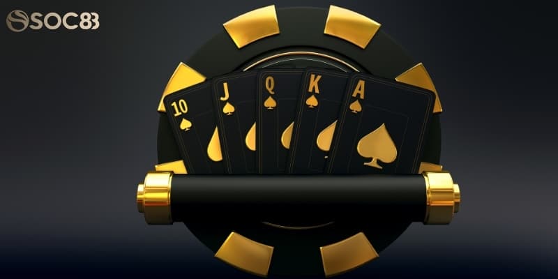 Soc88 Soc88 lưu ý quan trọng